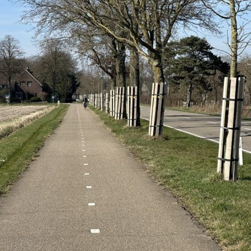 tijdelijke stamommanteling