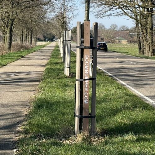 boombumper, tijdelijke boombescherming tijdens werkzaamheden