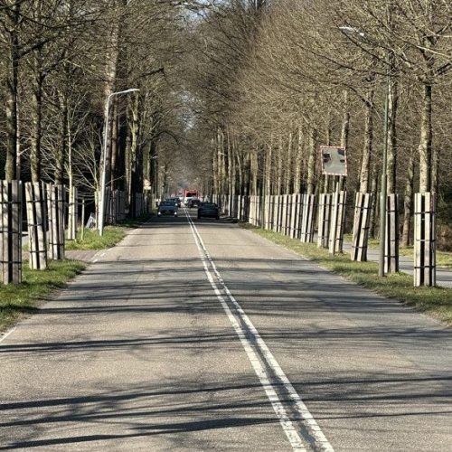 stamommanteling, boombumper, boombescherming