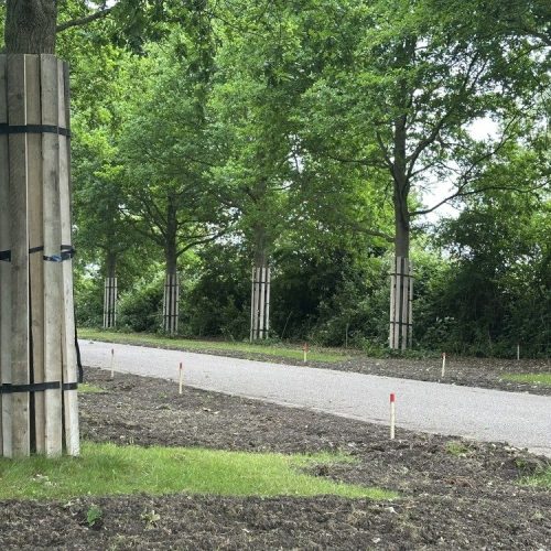 boombescherming tijdens werkzaamheden